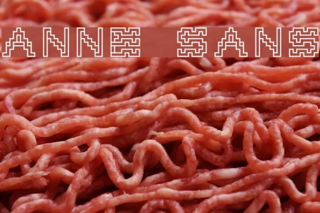 Anne sans Example 1