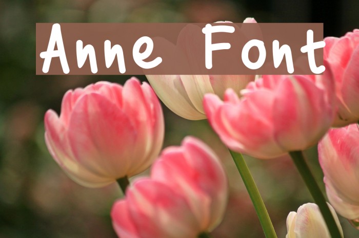 Anne フォント examples
