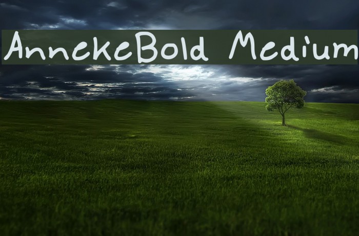 AnnekeBold Medium Font examples