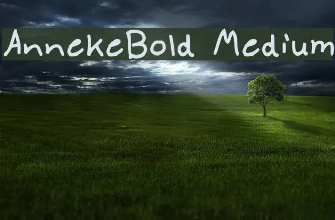 AnnekeBold Medium Example 1