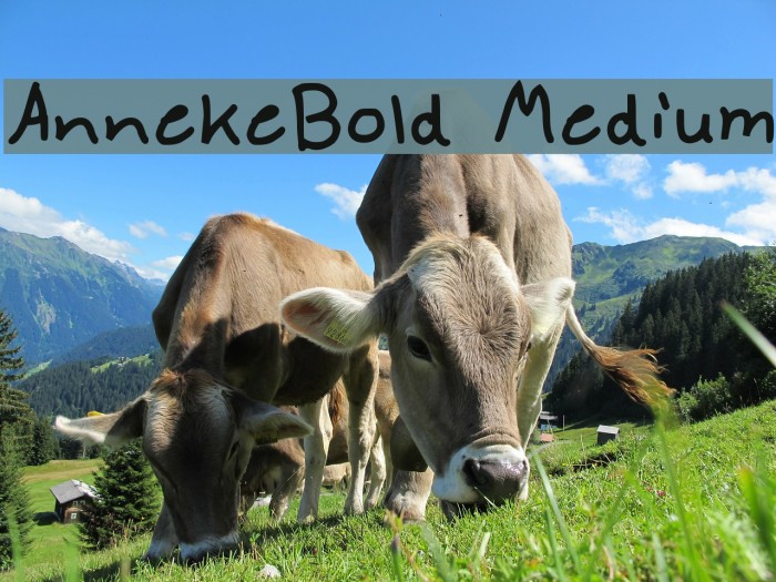 AnnekeBold Medium Font examples