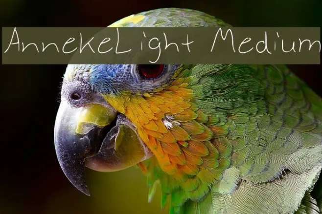 AnnekeLight Medium Example 1