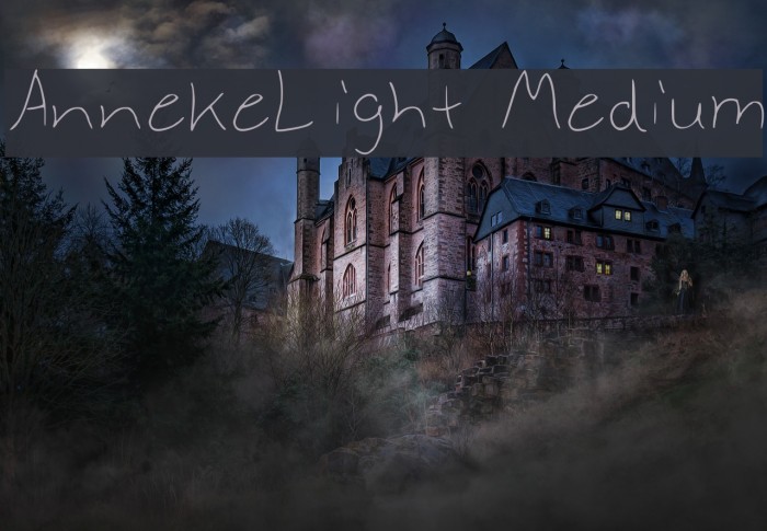 AnnekeLight Medium Font examples