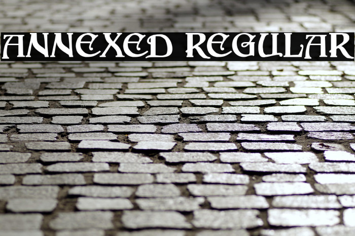 Annexed Regular Example 2