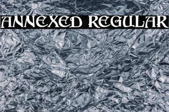 Annexed Regular Example 3