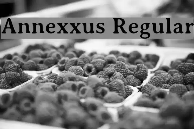 Annexxus Regular Font examples