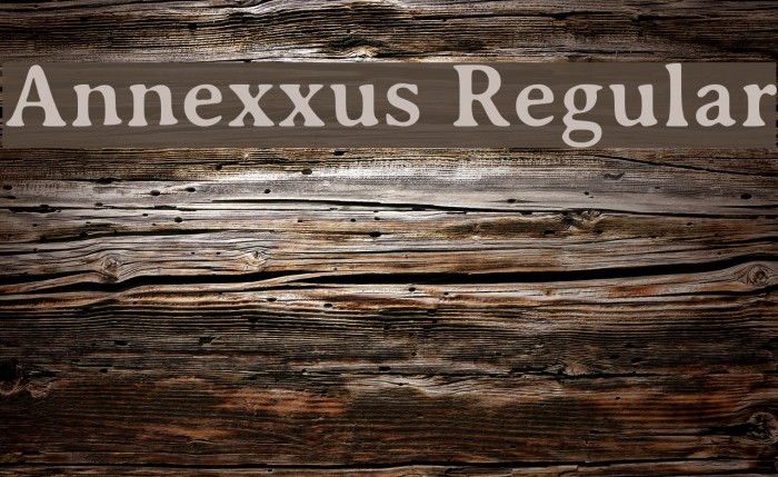 Annexxus Regular Caratteri examples