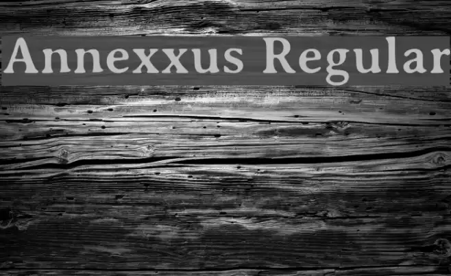 Annexxus Regular Font examples