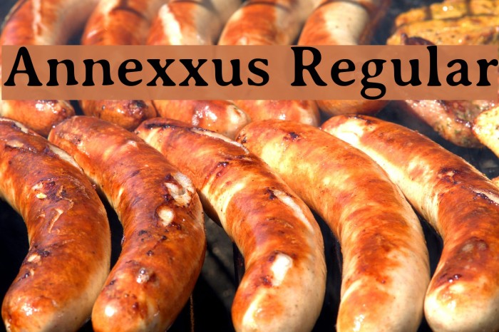 Annexxus Regular Caratteri examples