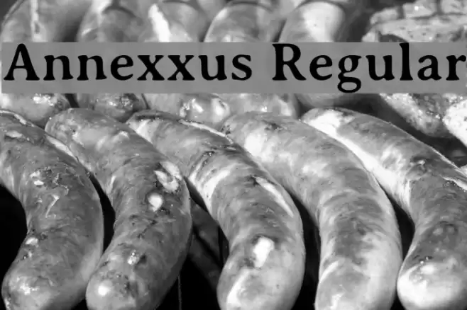 Annexxus Regular Font examples