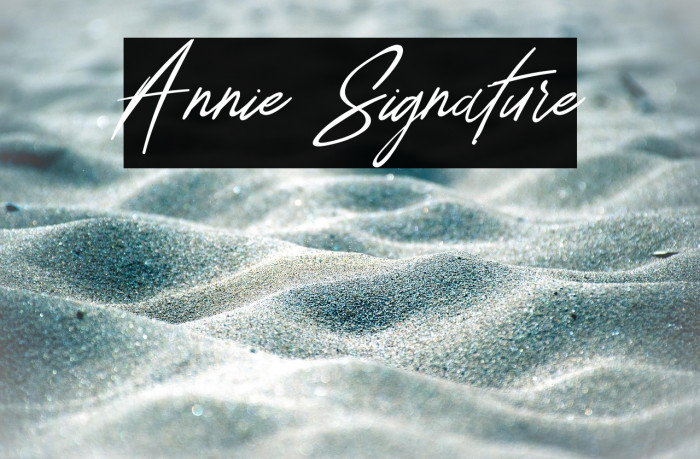 Annie Signature Example 1
