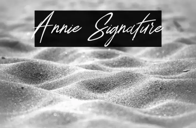 Annie Signature Font examples