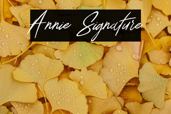 Annie Signature Example 2