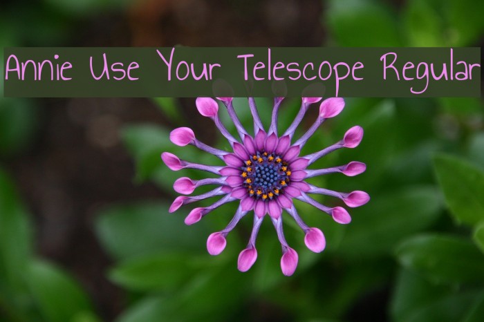 Annie Use Your Telescope Regular फ़ॉन्ट examples