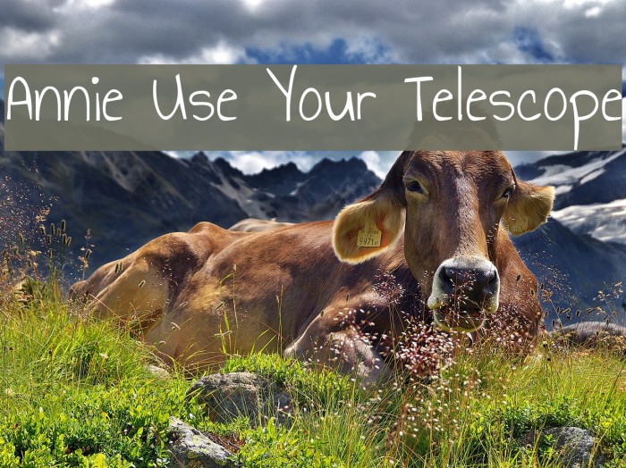 Annie Use Your Telescope Font examples