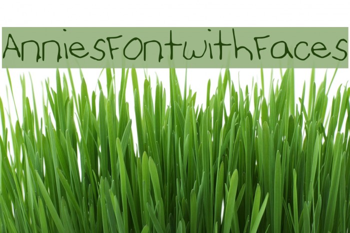 AnniesFontwithFaces Font examples