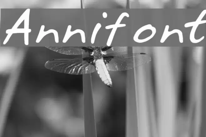 Annifont 字体 examples