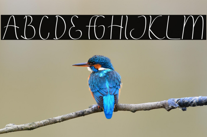 Annila Script Example 1