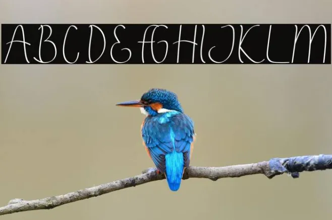 Annila Script Example 1