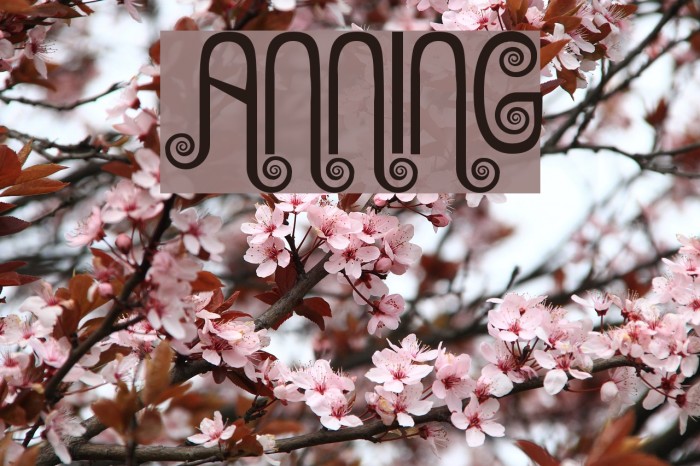 Anning Font examples