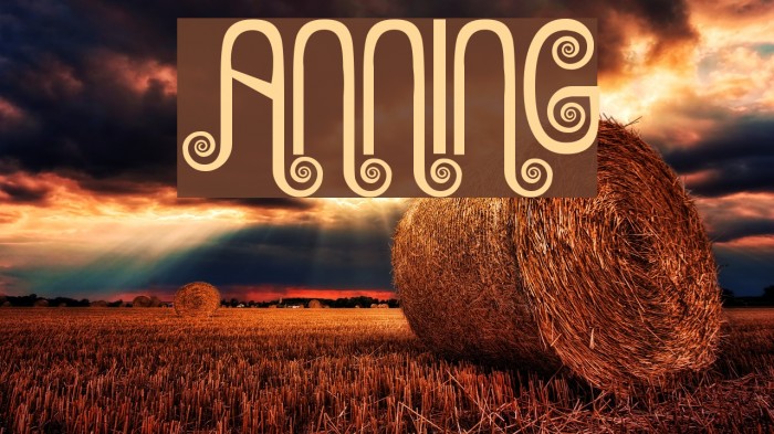 Anning Font examples