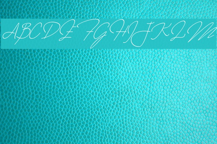 Annisa Slant Font examples