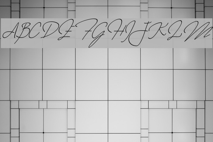 Annisa Slant Font examples