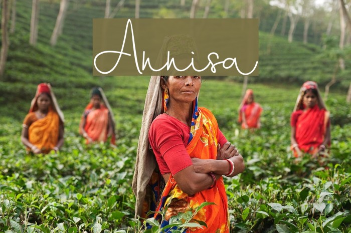 Annisa Font examples