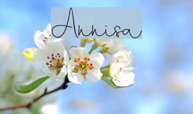 Annisa Example 3