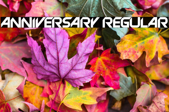 Anniversary Regular Example 3