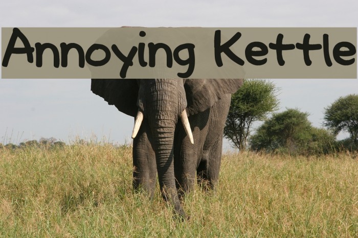 Annoying Kettle Font examples