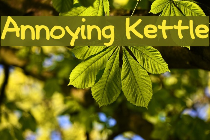 Annoying Kettle Font examples