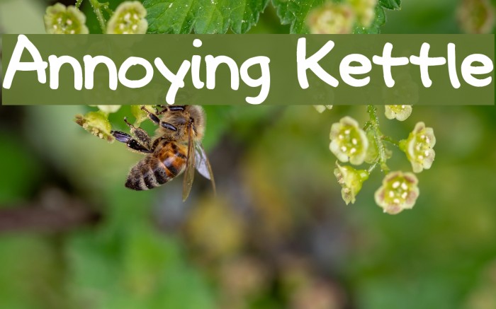 Annoying Kettle Font examples
