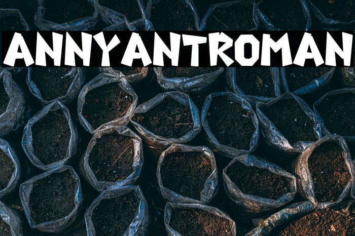 AnnyantRoman Example 2