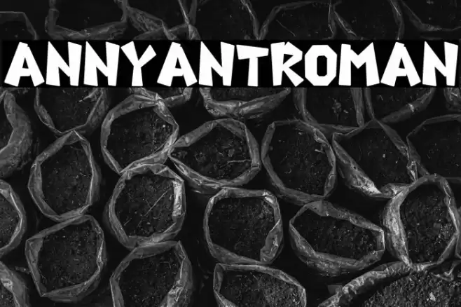 AnnyantRoman Font examples