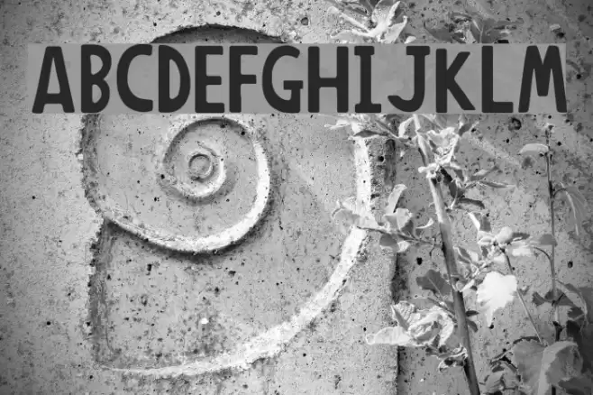 AnonimRound Font examples