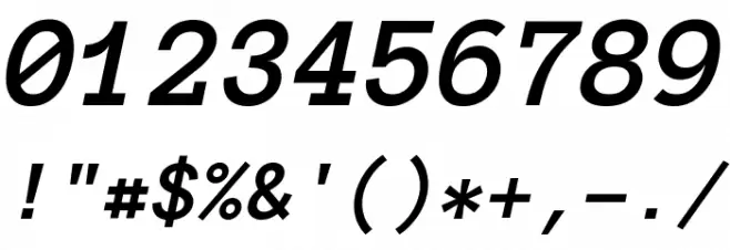 Anonymous Pro Bold Italic Font OTHER CHARS