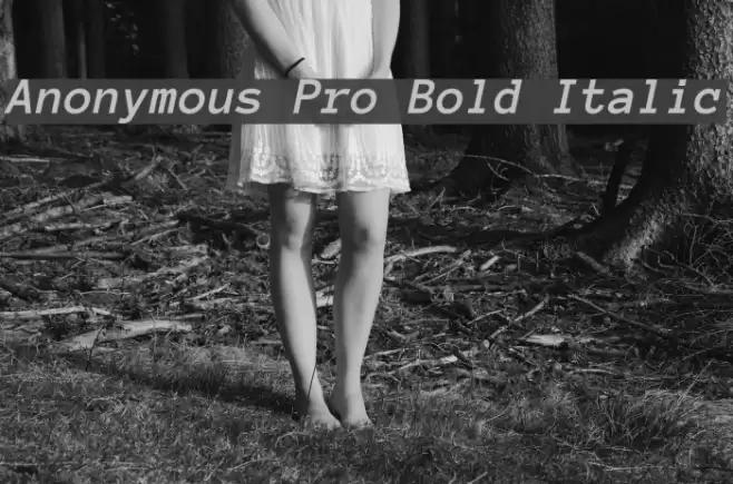 Anonymous Pro Bold Italic Font examples
