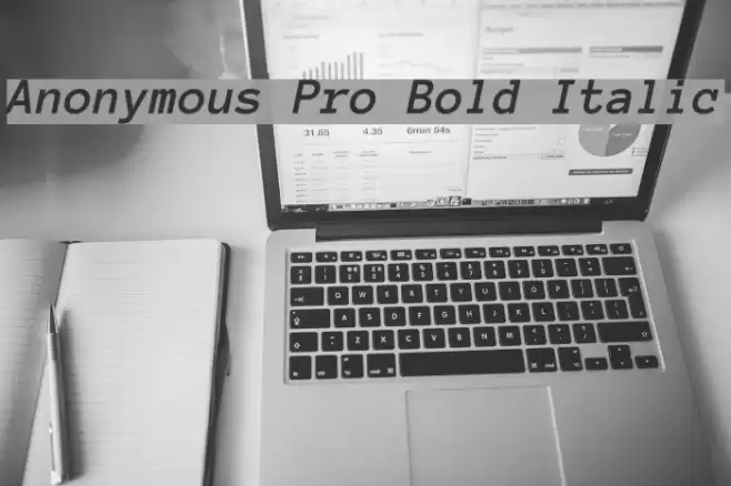 Anonymous Pro Bold Italic Font examples