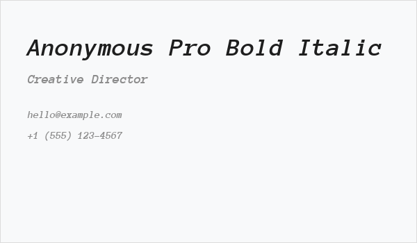 Anonymous Pro Bold Italic Business Card