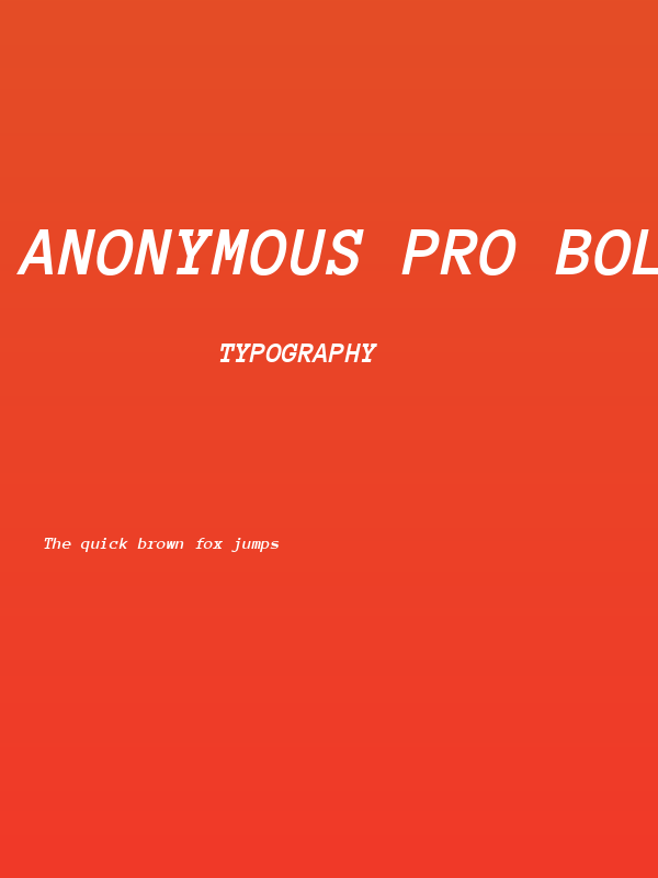 Anonymous Pro Bold Italic Poster