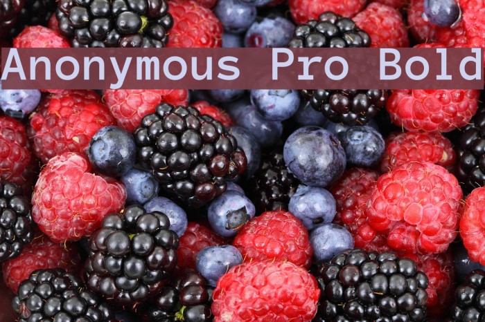Anonymous Pro Bold フォント examples