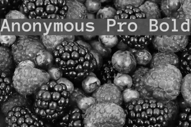 Anonymous Pro Bold フォント examples