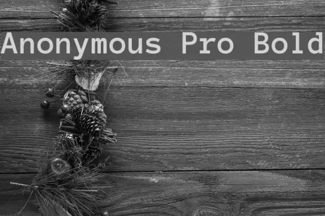 Anonymous Pro Bold フォント examples