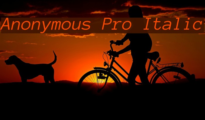 Anonymous Pro Italic Font examples