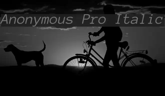 Anonymous Pro Italic Font examples