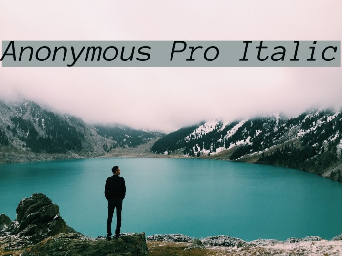 Anonymous Pro Italic Font examples