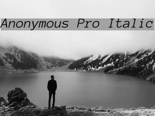 Anonymous Pro Italic Font examples