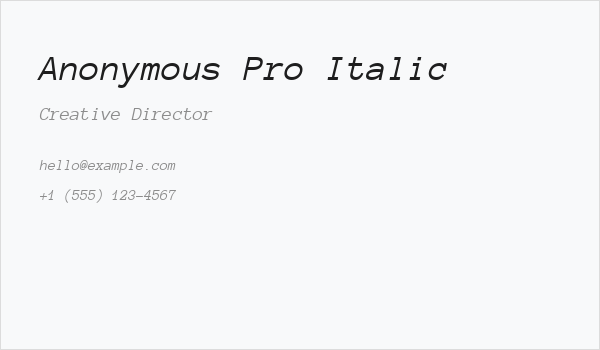 Anonymous Pro Italic Business Card