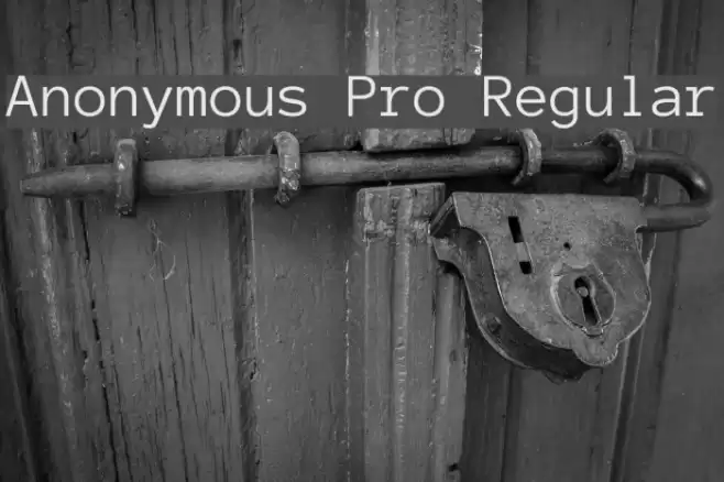 Anonymous Pro Regular Font examples